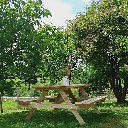 Dom Podroznika -aktywne