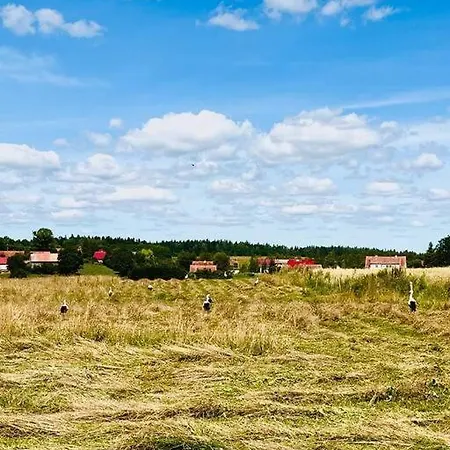 Dom Podroznika -aktywne