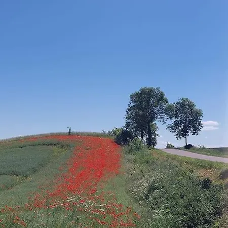 Feriehus Dom Podroznika -aktywne *