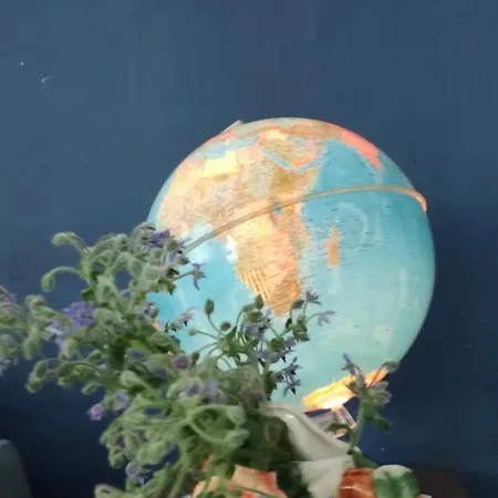 Dom Podroznika -aktywne Feriehus Jablonowo