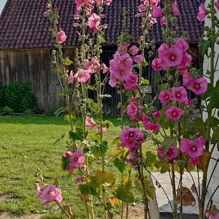 Dom Podroznika -aktywne Jablonowo